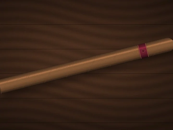Long, slender cigar on a light background
