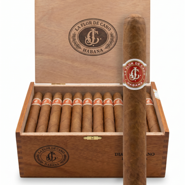 La Flor De Cano Diademas
