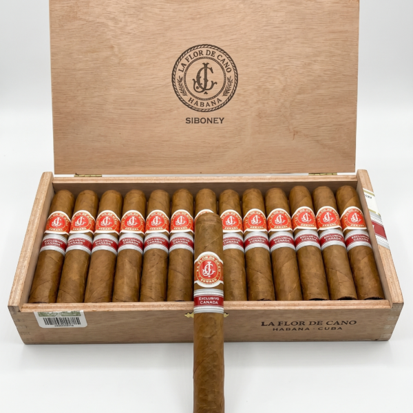 La Flor De Cano Siboney