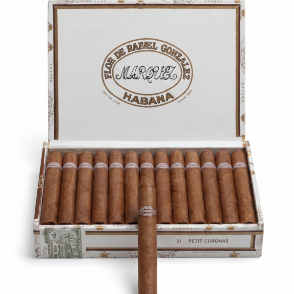 Rafael Gonzales Pettit Coronas
