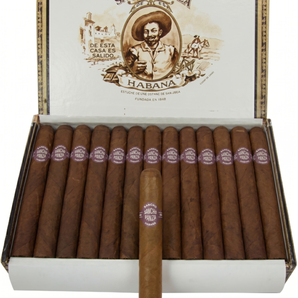 Sancho Panza Non Plus